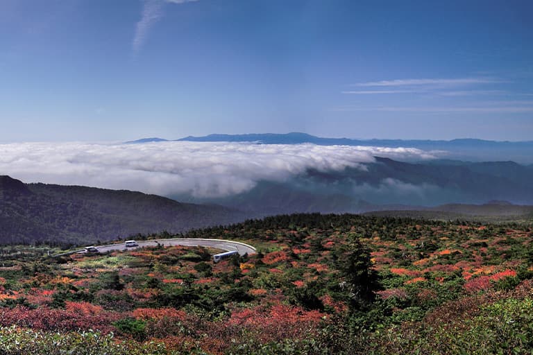 山形のレンタカー予約